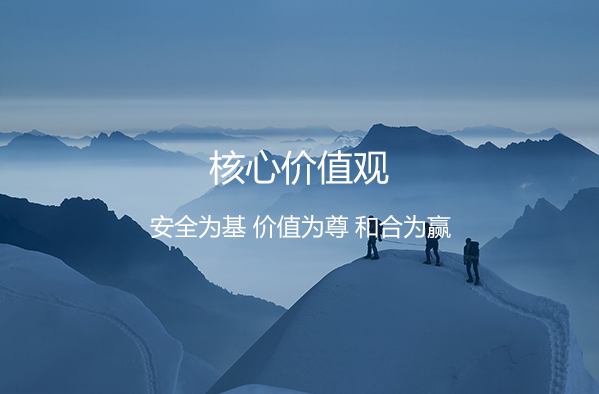 企业文化-价值观_11.png
